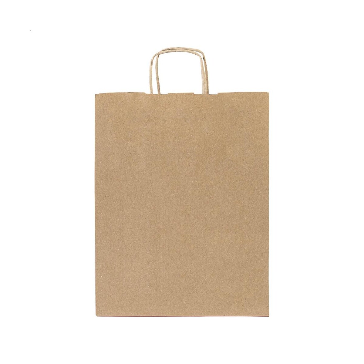 Papbag L papierowa torba prezentowa, duża AP719608-00__A